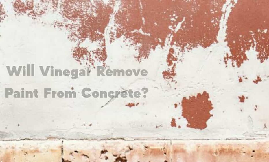 Will Vinegar Remove Paint From Concrete