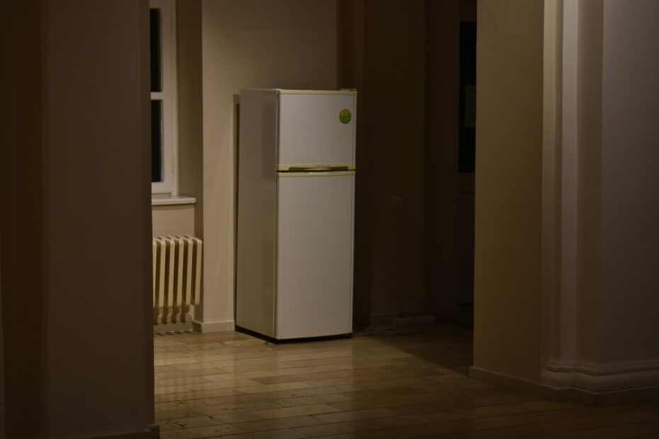 Refrigerator Stopped Running No Sound