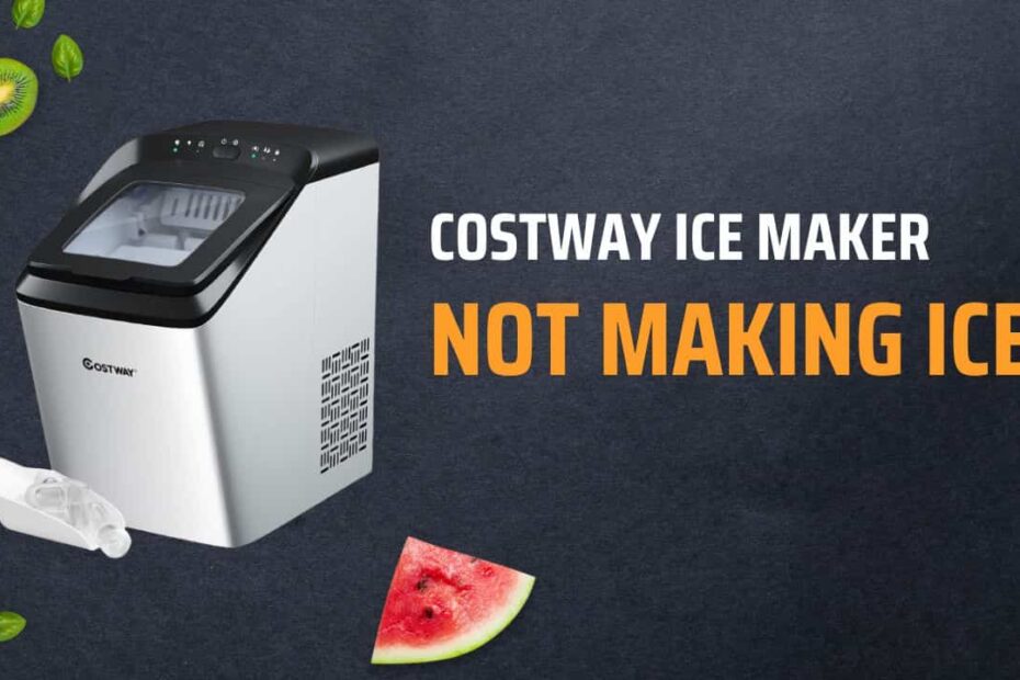 Costway Ice Maker Not Making Ice
